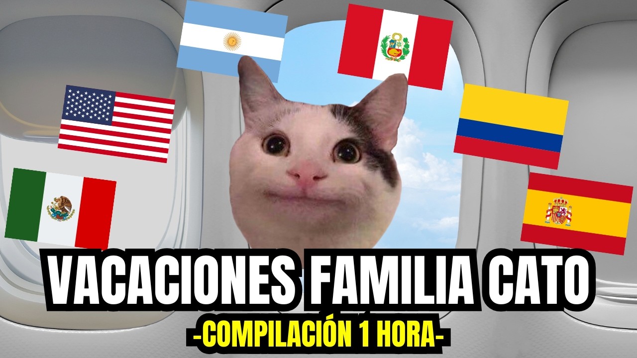 VACACIONES FAMILIA CATO , compilación de 1 hora (meme de gatos)