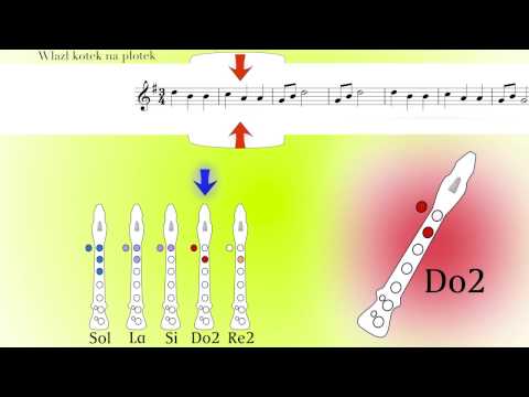 Wlazł kotek na płotek na flet
