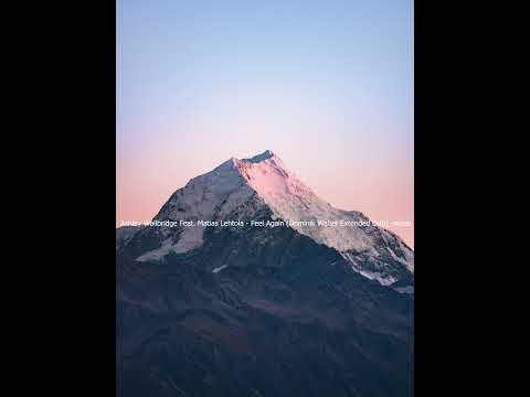 Ashley Wallbridge Feat. Matias Lehtola - Feel Again (Dominik Walter Extended Dub)_mixed