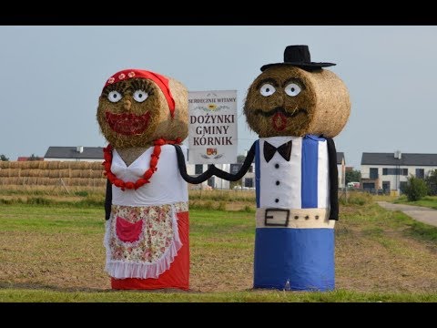 Dożynki gminne 2017 Czmoń