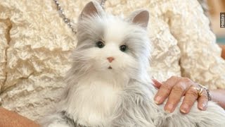 Hasbro&#39;s Lifelike Cat Isn&#39;t For Kids; It&#39;s For Seniors - Newsy