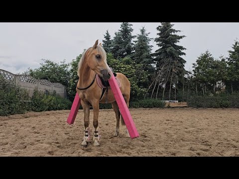youtube preview