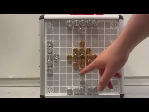 Anleitung Hnefatafl - Tec Cube