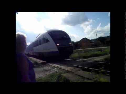 Sageata albastra Halta Negreni