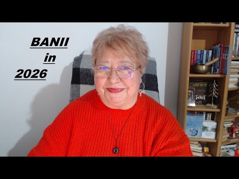 Gemini 2026 About Money