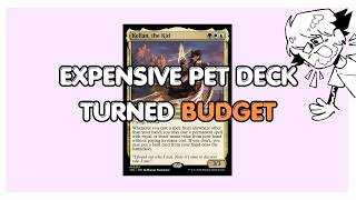 $72 Reimagining of $780 Pet Deck