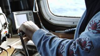 The Crooke & The Tangler