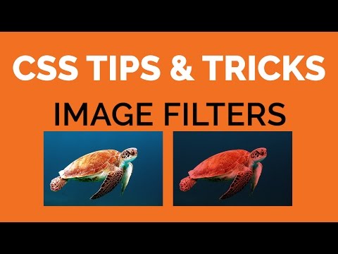 7 CSS Tips Tricks Filtri sulle immagini come Instagram