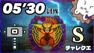 【5'30】歴戦王レ・ダウ ハンマー ソロ チャレンジクエスト【モンスターハンターワイルズ】