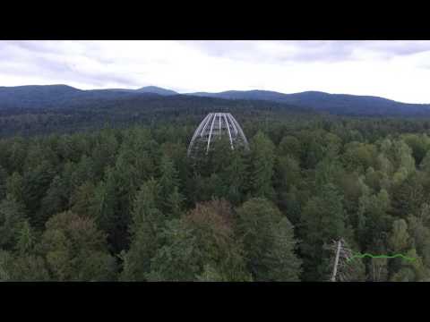 Wann entdeckst du "Vom Wald das Beste?" Ferienregion Nationalpark Bayerischer Wald