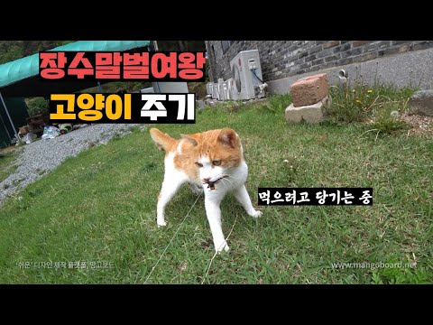 아이콘