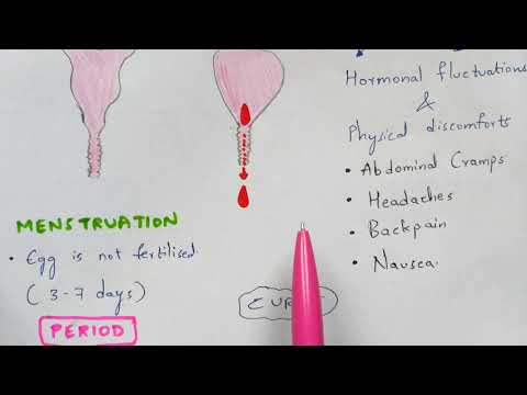 Typhoid fever Salmonella typhi Causes symptoms diagnosis treatment Bio science
