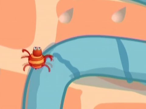 The Eensy Weensy Spider The Eensy Weensy Spider