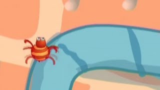 The Eensy Weensy Spider