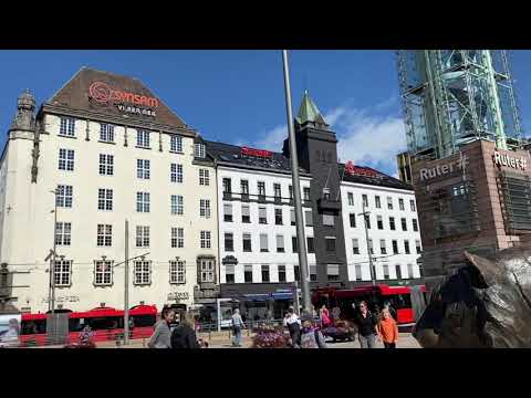 Oslo Norway 🇳🇴 Tiger