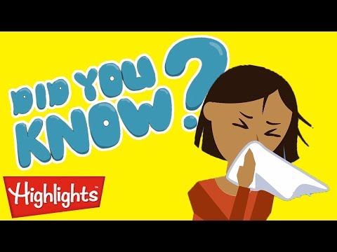Learn about sneezing and so much more! | Highlights Kids - Kingdom Kids Zone, Little Learners - Highlights Kids