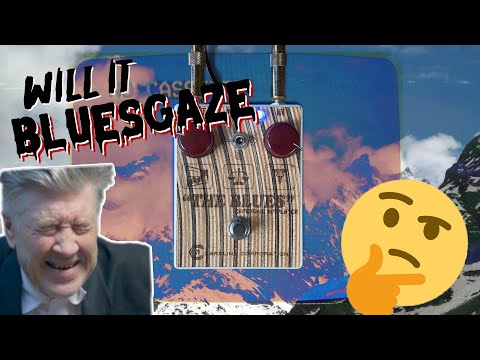 Will it Bluesgaze? // Caroline Guitar Company - "The Blues"