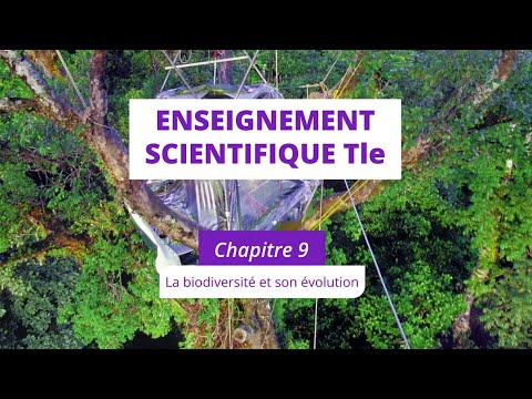 La biodiversité et son évolution (Enseignement scientifique Tle)