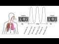 Breathing Maneuvers - patient instructions (EN)