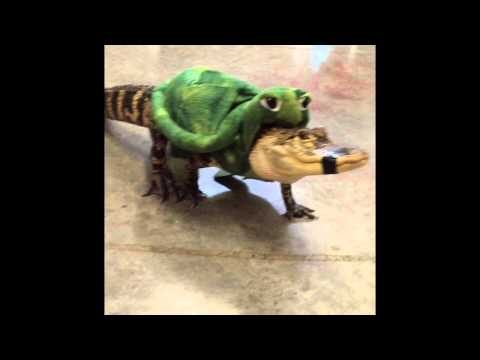 Darthgator be Rollin'