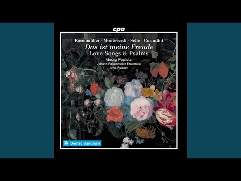 Tulerunt Dominum meum