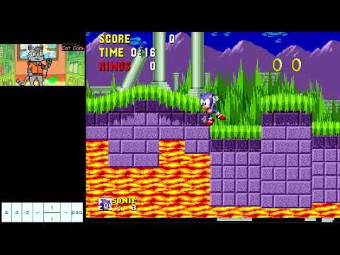 Beginner Guide to Sonic 1 Glitched Speedrun - Part 1