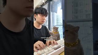 Download lagu This cat just wants attention π₯Ή mp3 Download lagu This cat just wants attention π₯Ή mp3