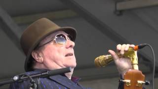 Van Morrison Moondance 2016 New Orleans Jazz Festival