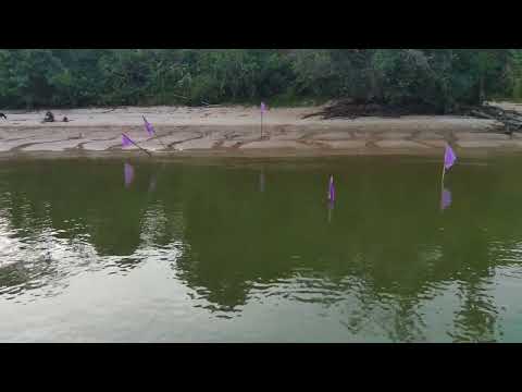 Maguari - Belterra - Pará Praia de Maguari Santarém-PARÁ FIMI0090 Ator Jeff