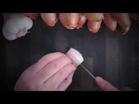 Couteau de cuisine forgé Perceval