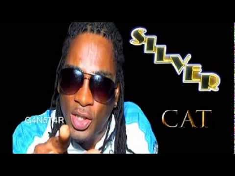 Silver Cat - Who Dem Try Fi Diss - (Tommy Lee, Bounty Killer & More Artist Diss) - The Shank Riddim