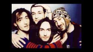 La Fille Du Chat Noir Matmatah Live Vieilles Charrues 2001