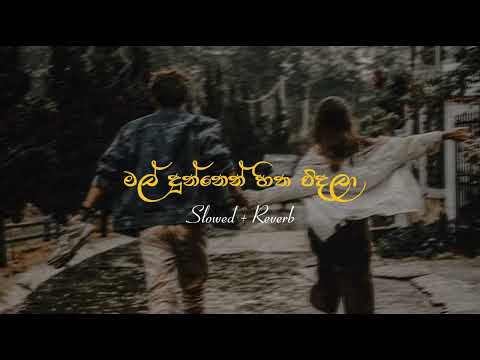 Mal Dunnen Hitha Vidala | Me Adarayayi song | ඔයා නැතුව දැන්නම් මට බෑ තවත් (Slowed + Reverb)