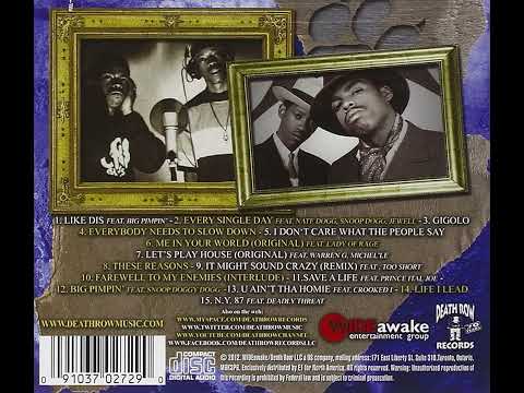 Tha Dogg Pound x 2pac '' What We Got '' G Funk Type Beat