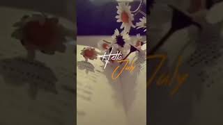 Download lagu Story whatsapp hello juli mp3