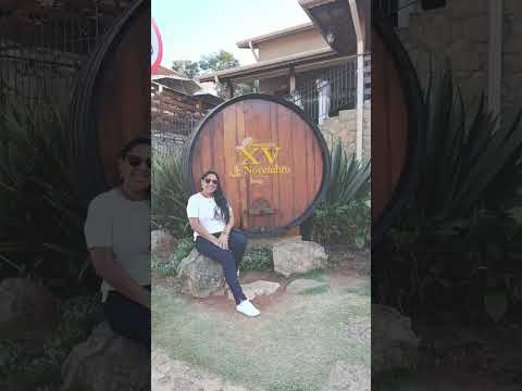 Rota dos Vinhos em São Roque #saopaulo #sãoroque #rotadovinho