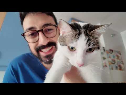 Stuck in a traffic jam