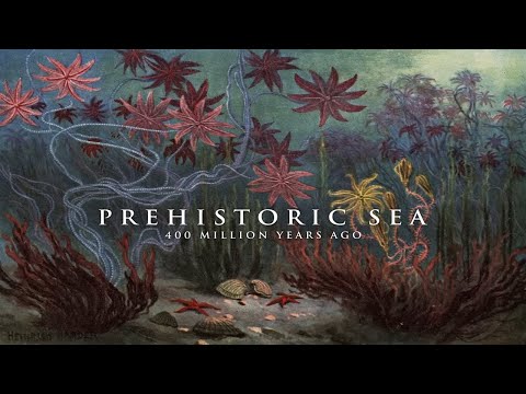 Prehistoric Sea, 400 million years ago