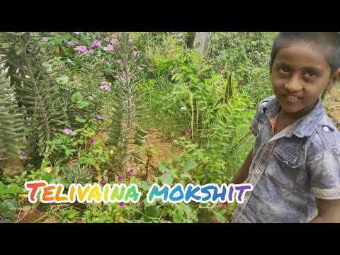 mokshit flowers plants explained our village