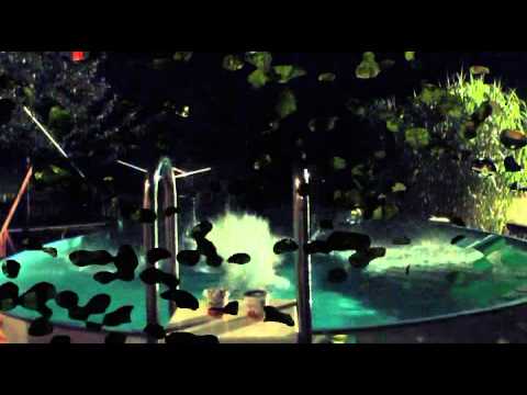 Cold Water Challenge 2014 KJG Wolfach