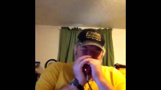 Harp, fender Princeton,delay