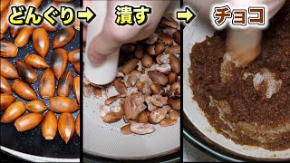 ドングリからチョコレート作ってみた