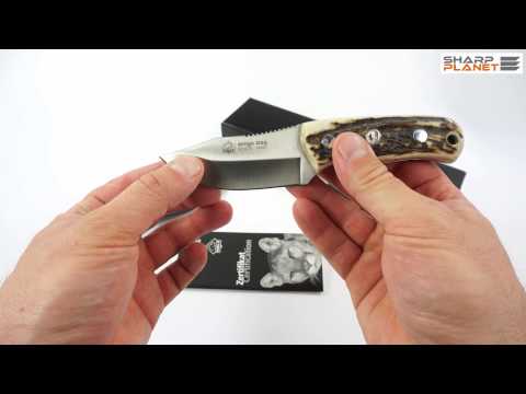 Puma IP Amigo Stag knife review