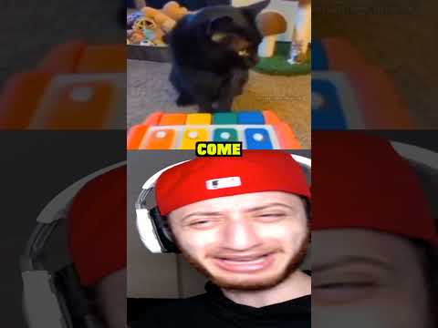 The Cat Can't Play Piano #shorts #short #memes #meme