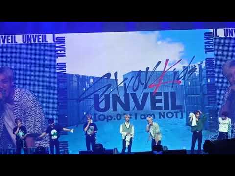 Stray Kids Unveil Tour "I am..." in Moscow. #1