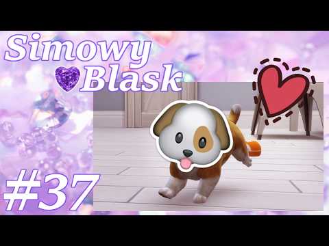 💎 SIMOWY BLASK, odc 37 - Zwierzak w rodzinie!