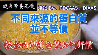 Re: [問卦] 吃素根本是智力測驗吧？