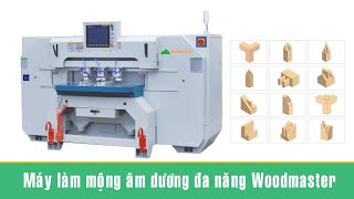 Máy Làm mộng âm dương đa năng WM-312 Woodmaster