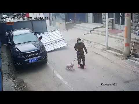30 Incredible Moments Caught on CCTV Camera