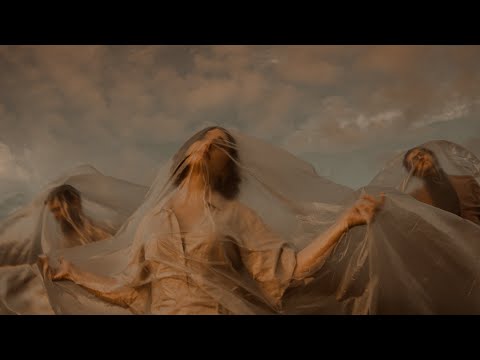 birds of unknown - Binding Flowers (Official Visualizer)